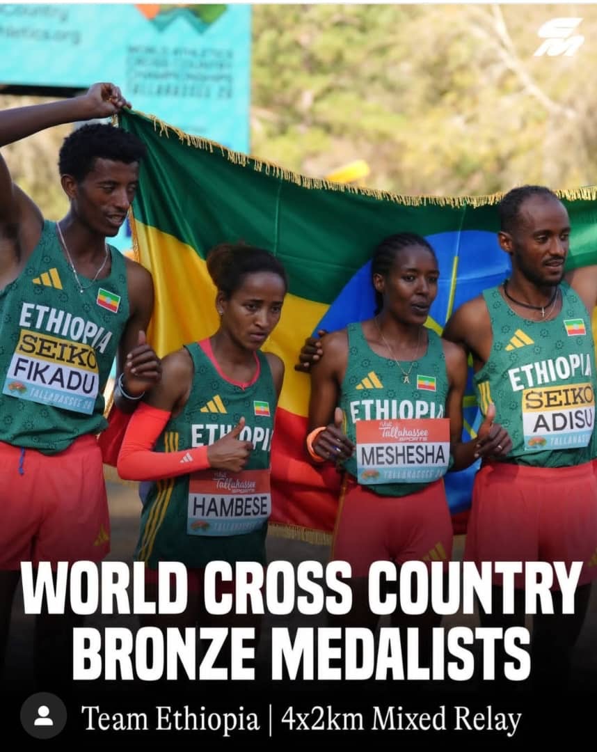 c0e37f27 503a 4636 8920 8afb78d8a1cb