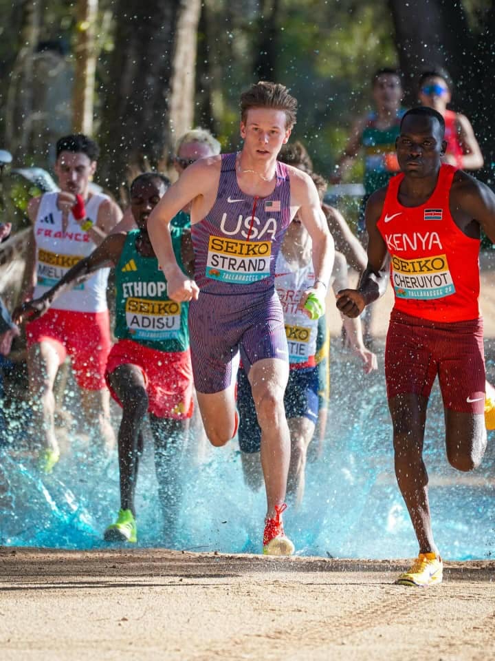 c3966924 3959 4b7b a97d cda97da23b49